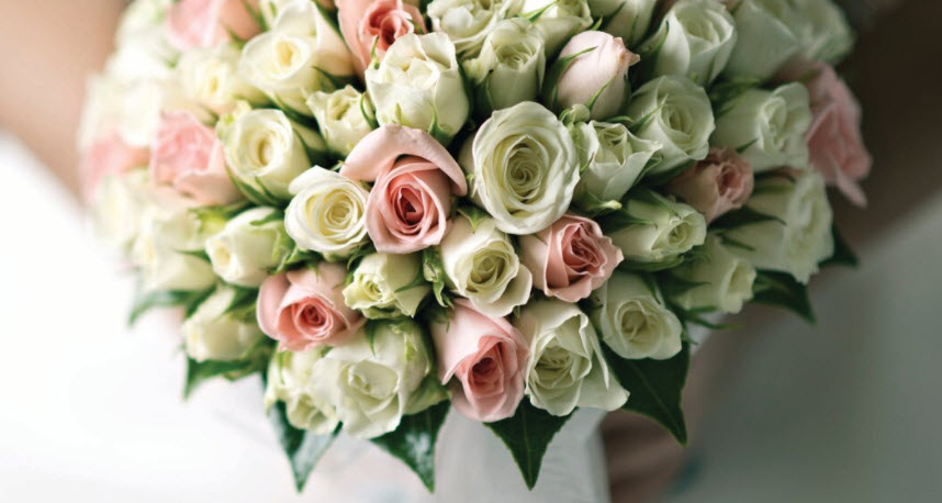Wedding And Occasions