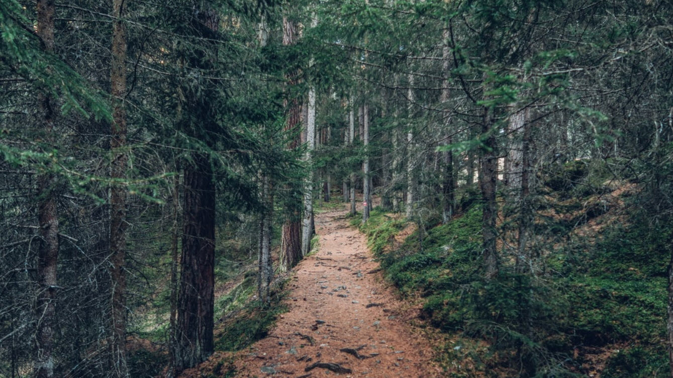  Mindfulness-Based Therapy 