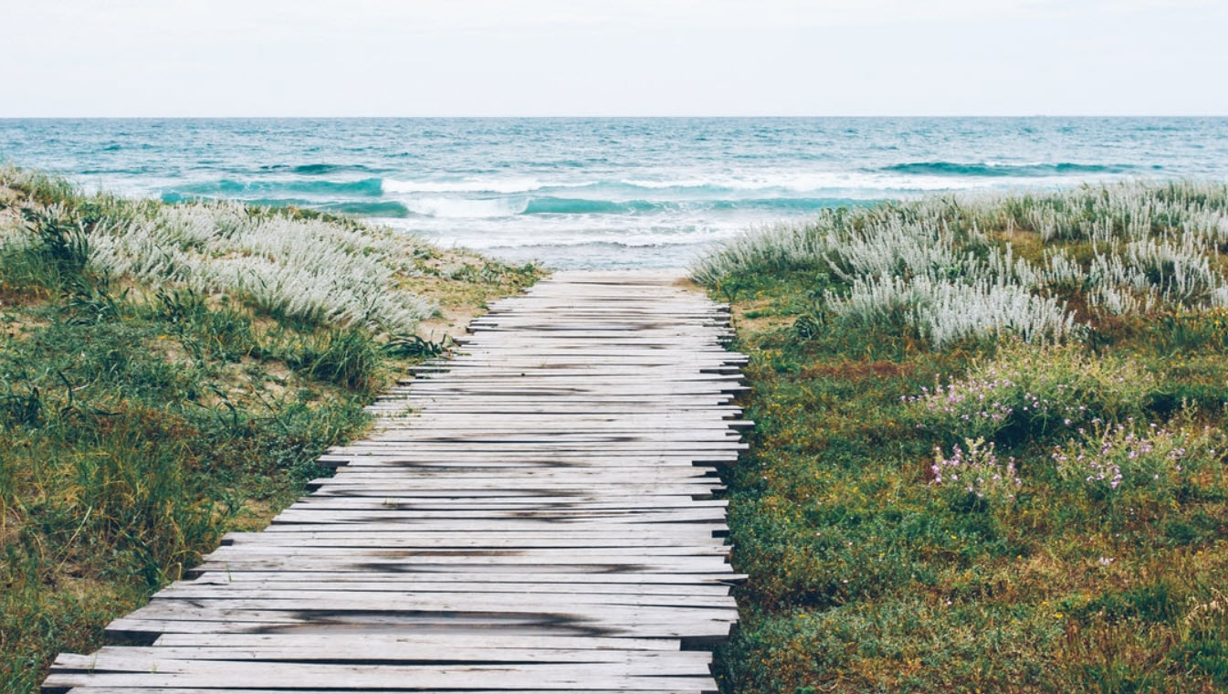  Social Anxiety Disorder Counseling 
