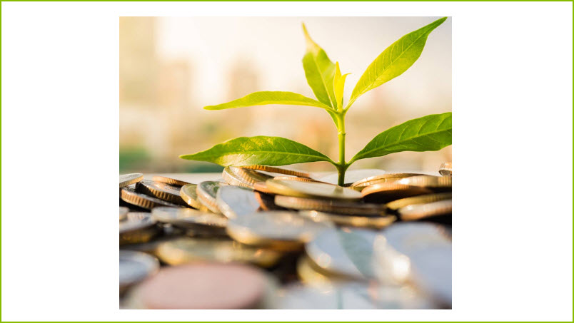Savings Accounts  Money, Market, CDs, IRAs