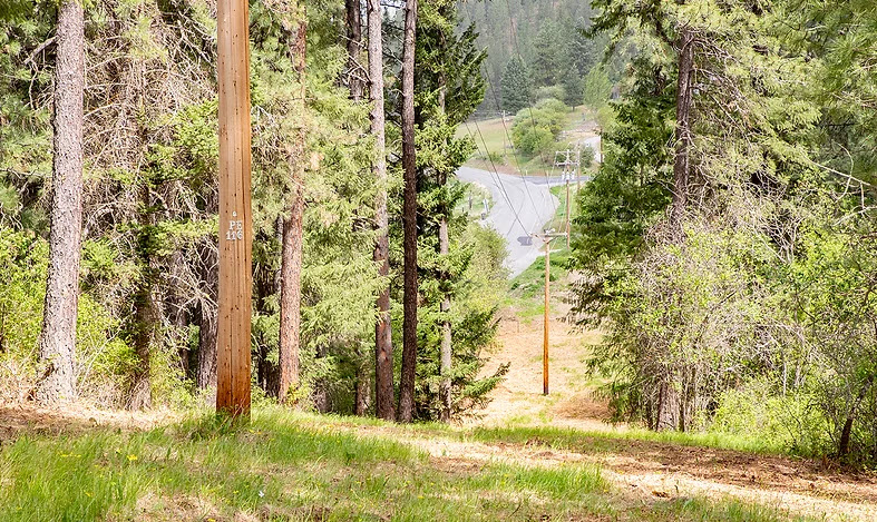Right Of Way Clearing