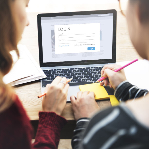 Data Entry Projects