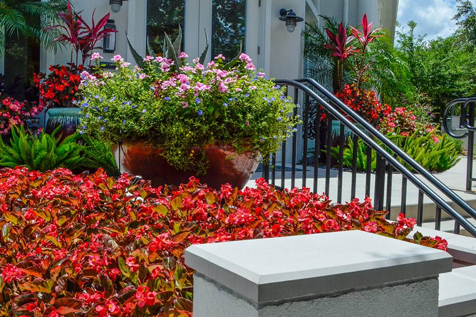 Seasonal Color Design & Installation