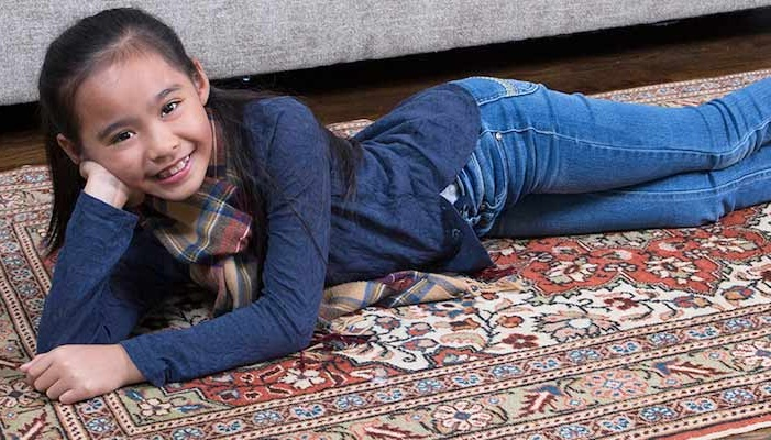 Area and Oriental Rugs Cleaning