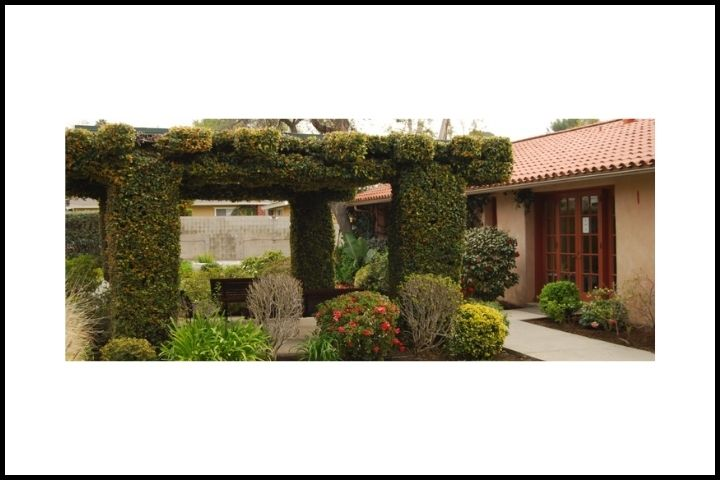 Residential Based Services