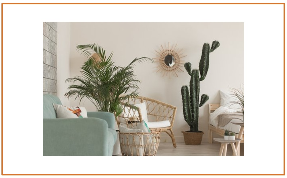 Property Management