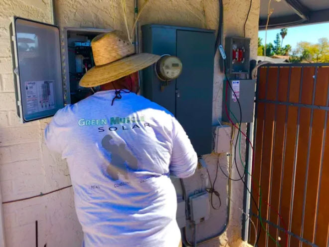 Pest Abatement/Pigeon Wiring