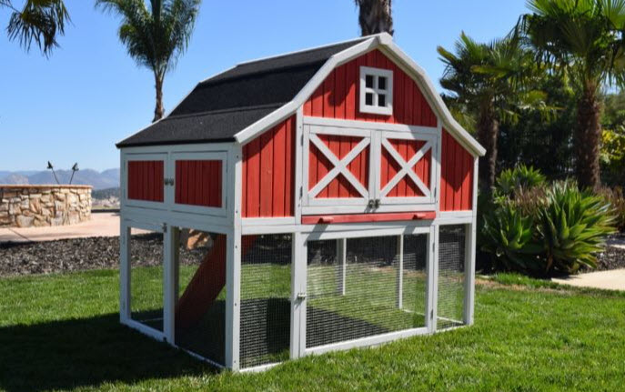 Pets & Livestock