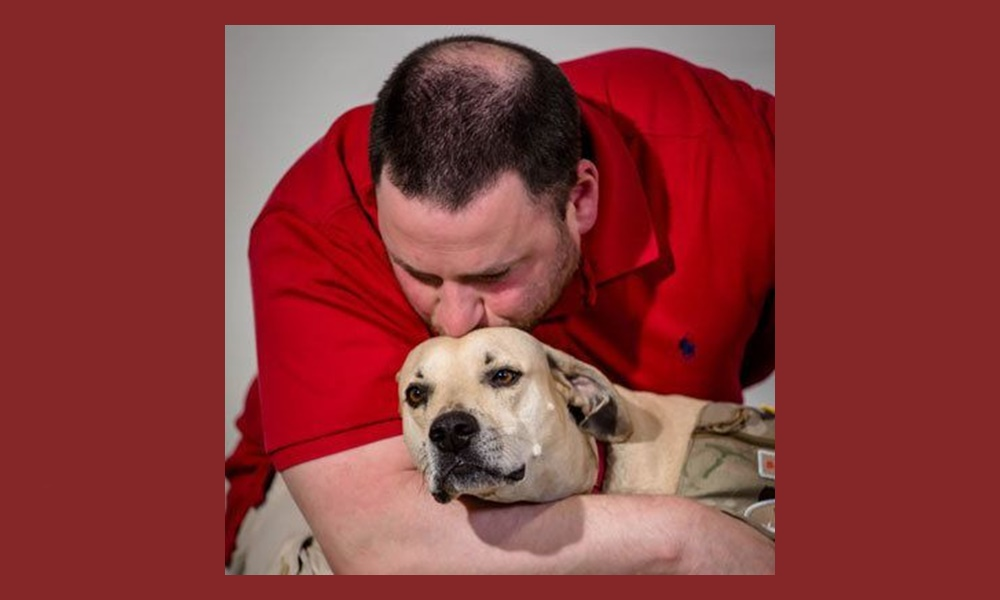 Service Dog
