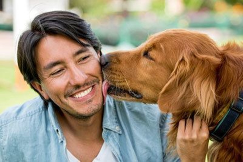 Therapeutic Companion Dog/Emotional Support Animal