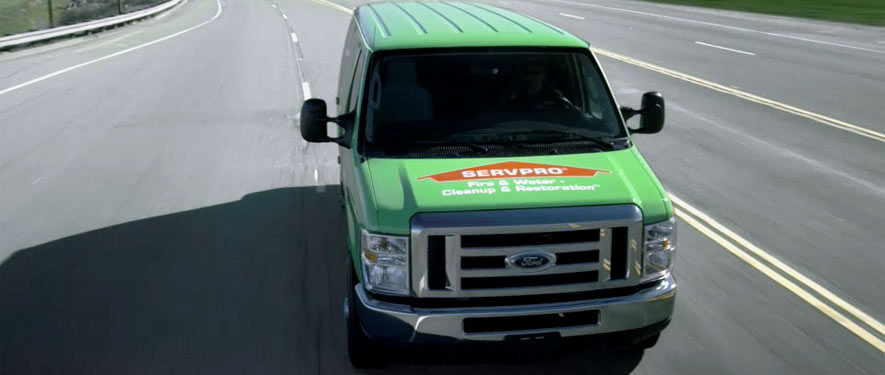 Mold Remediation and Restoration