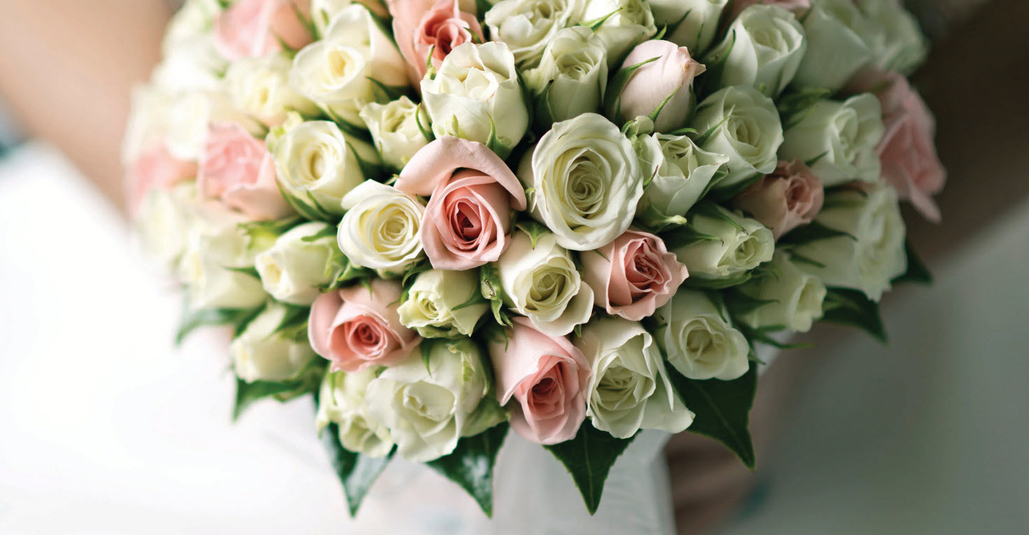  Weddings and Occasions