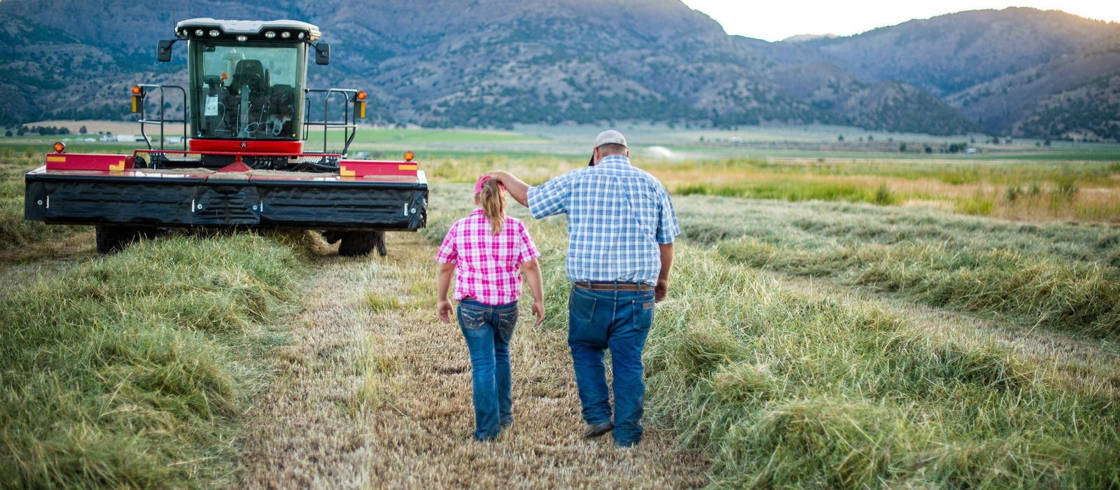 Young, Beginning & Small Farmers
