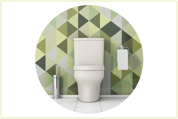 Bowel and Bladder Problems 