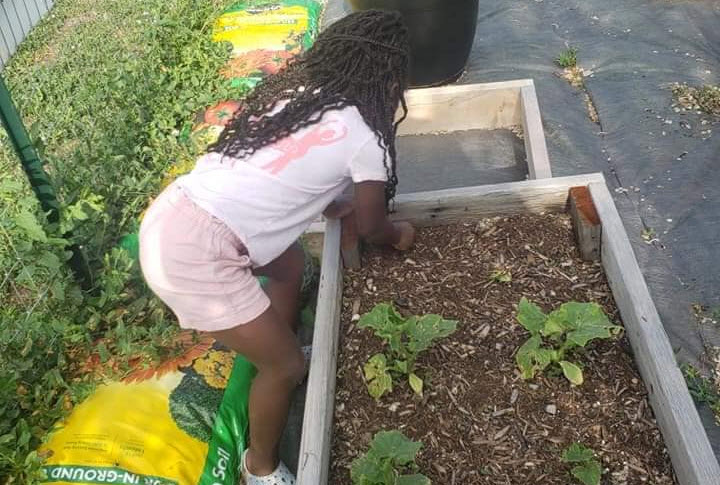 Community Garden