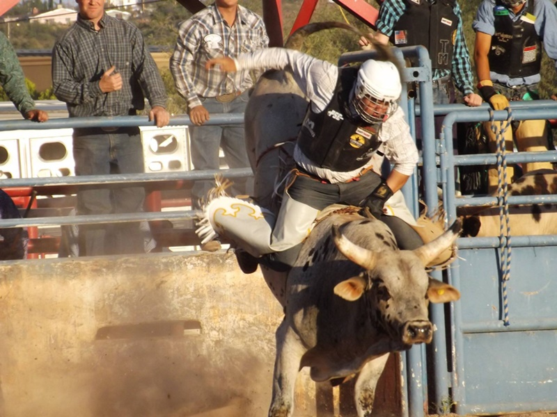 Rodeo Events