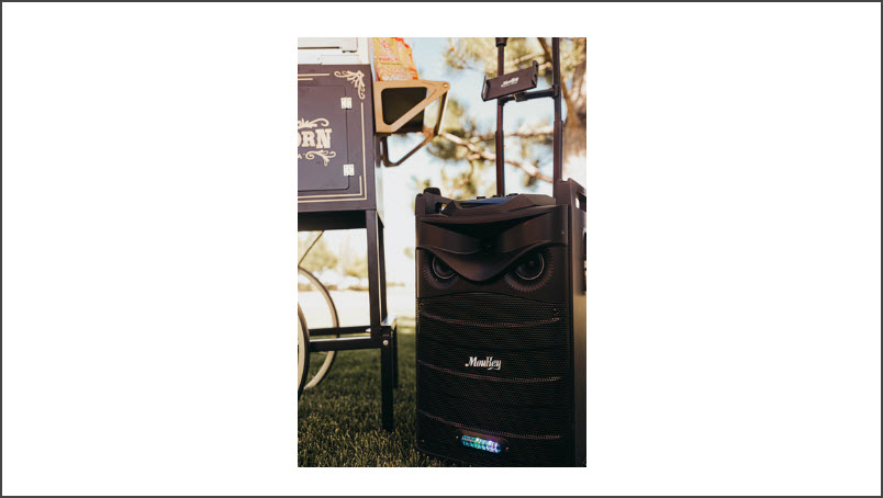 Bluetooth Karaoke/PA Machine