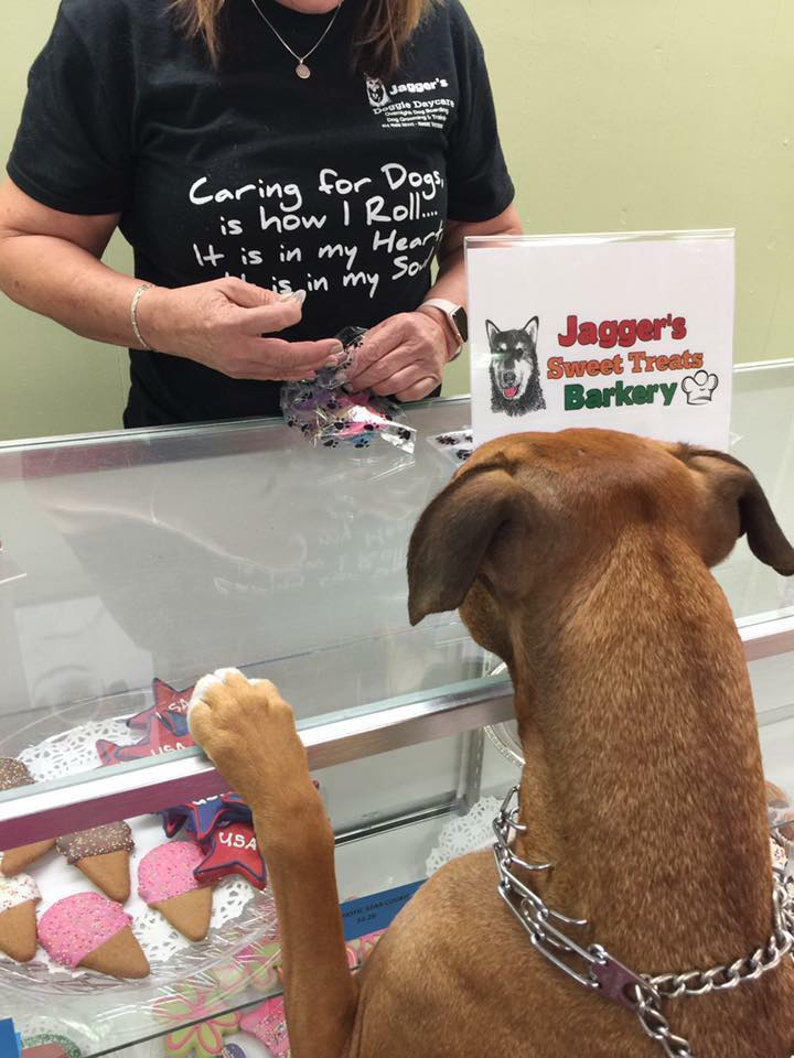  Gourmet Dog Bakery 