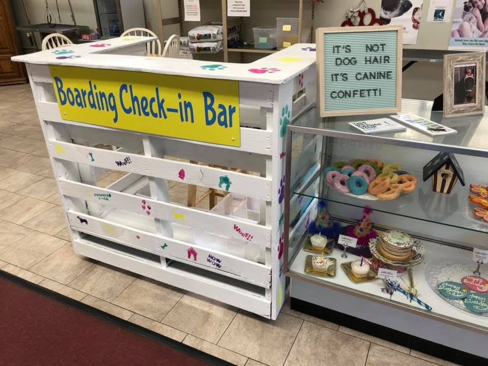 Overnight Dog Boarding