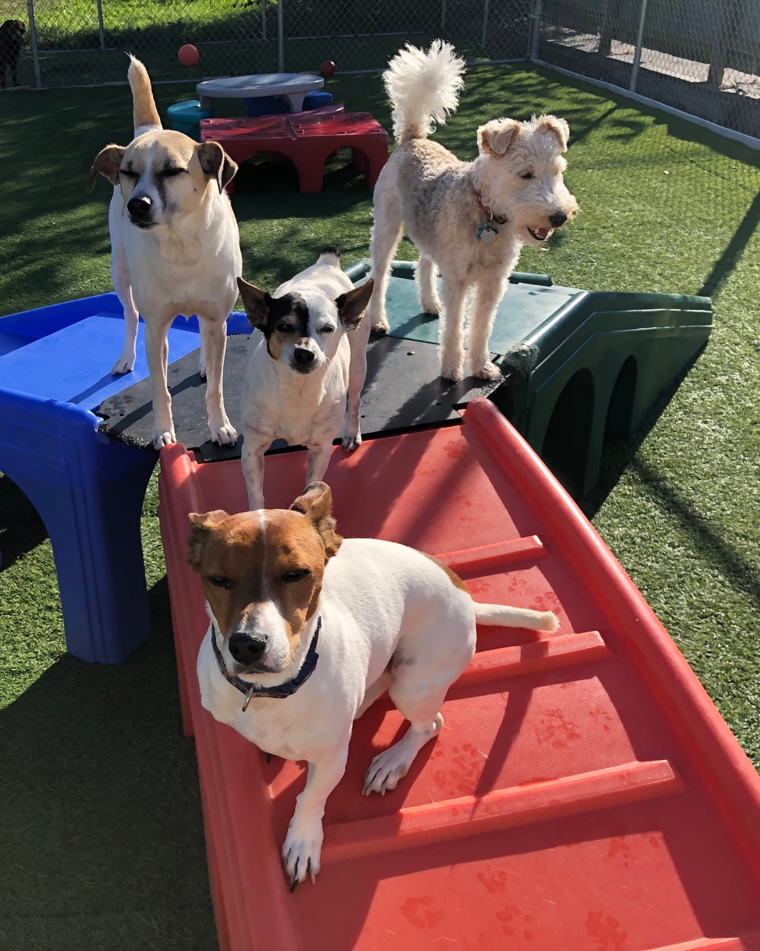 Daycare Service