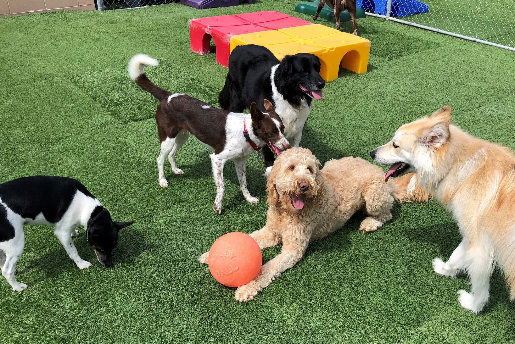 Daycare Service