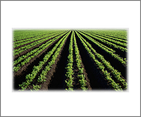 Agricultural Land Financing
