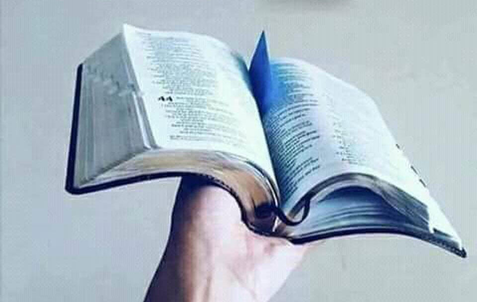 Bible Studies