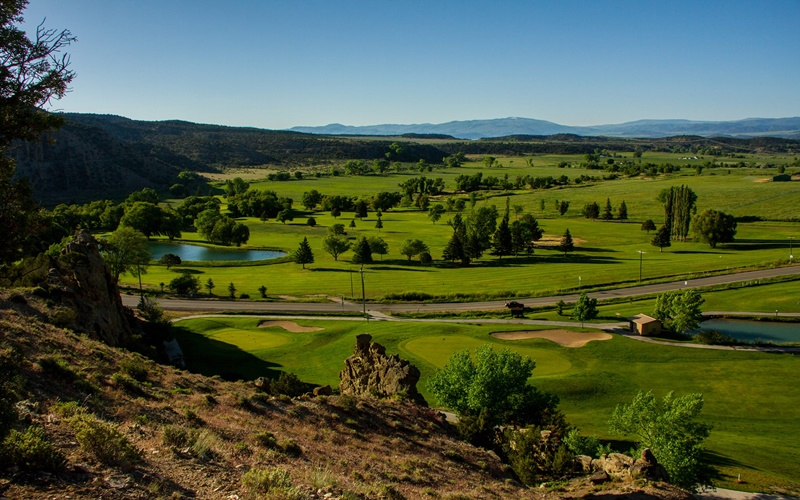 Book a Tee Time