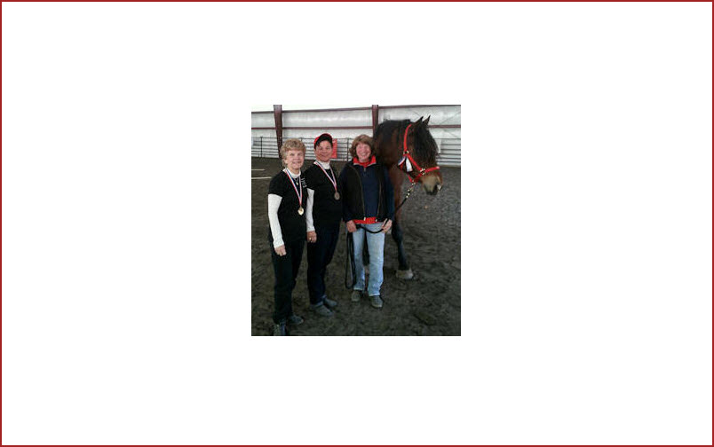 Silver Saddles