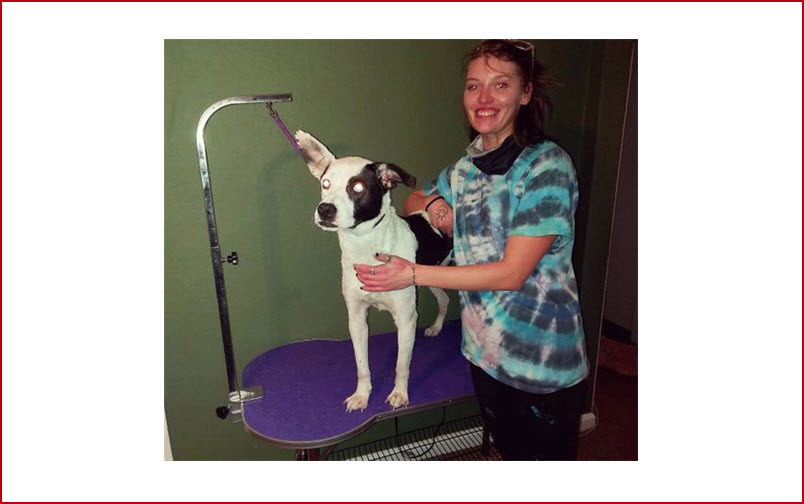 Groomers