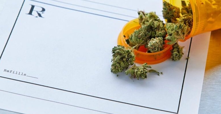 Cannabis Law