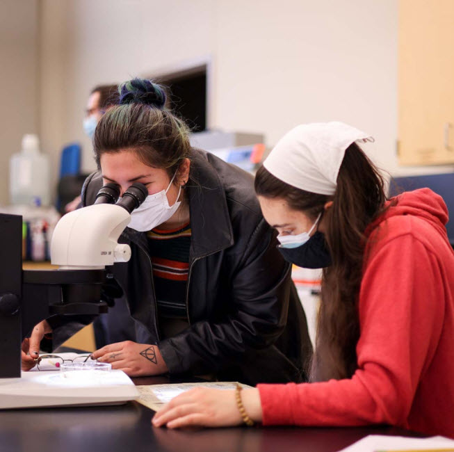 Science Technology, Engineering and Math