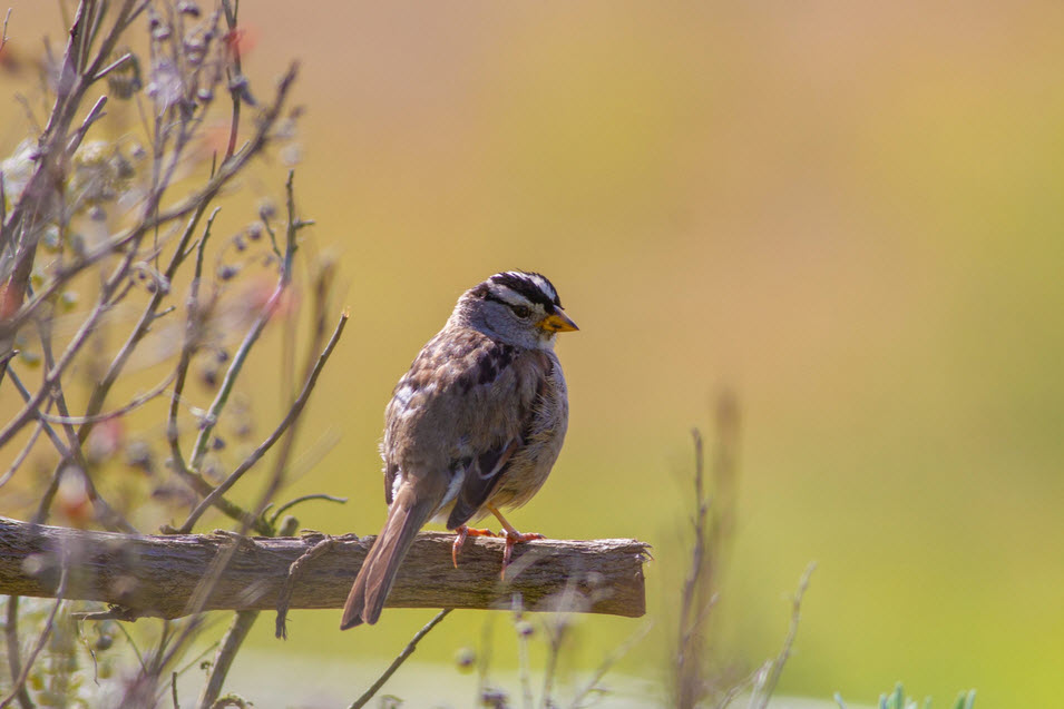 Turnbull National Wildlife Refuge
