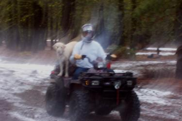 How about a little Off-Roading?