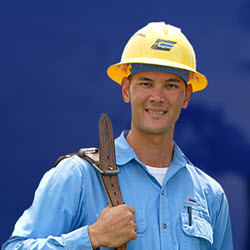 Professional Services