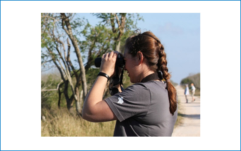 Birding