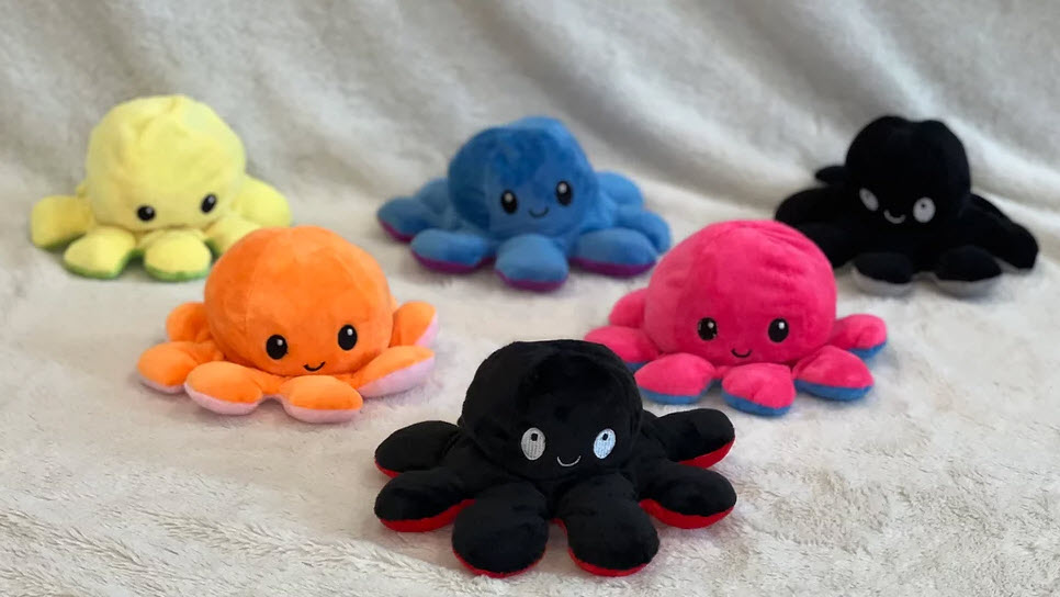 Small Octopus