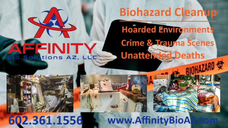 Hoarding Cleanup