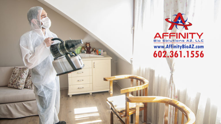 Odor Removal