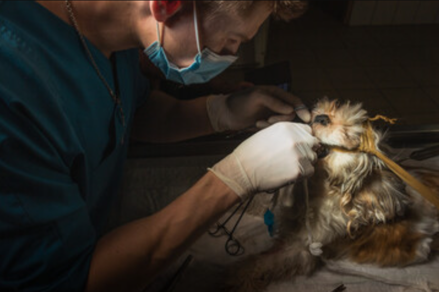 After Hours Emergency Care