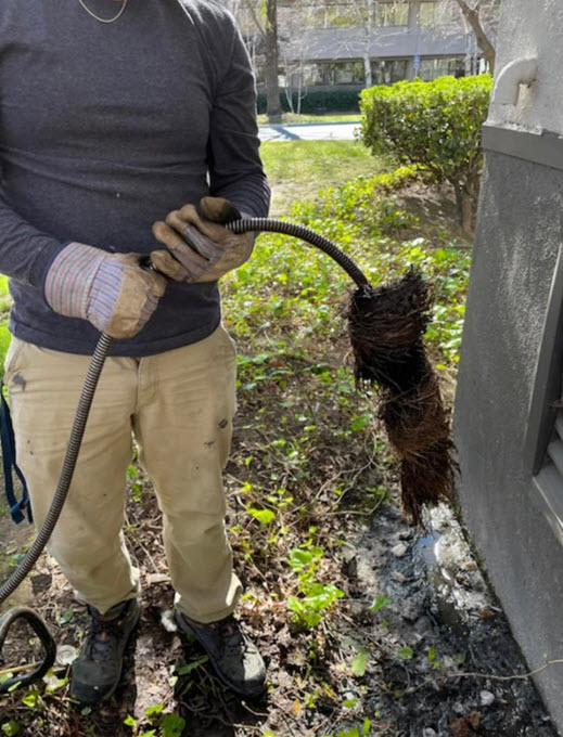 Rooter Services