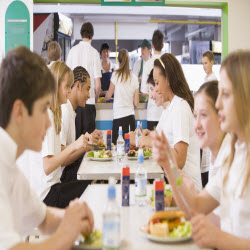 ELC Wellness