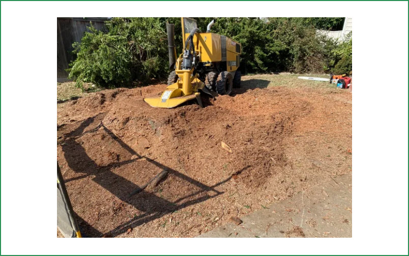 Stump Grinding
