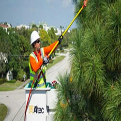 Line Clearing Program