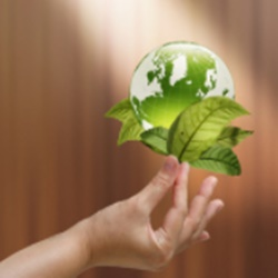CONSERVATION REBATES & PROGRAMS