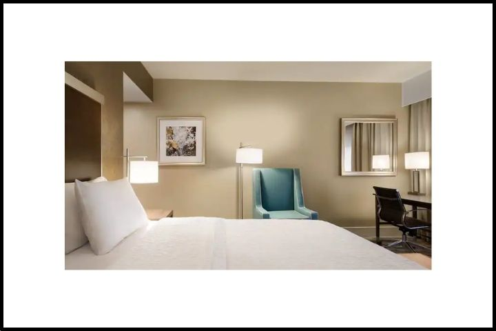 1 King Bed 