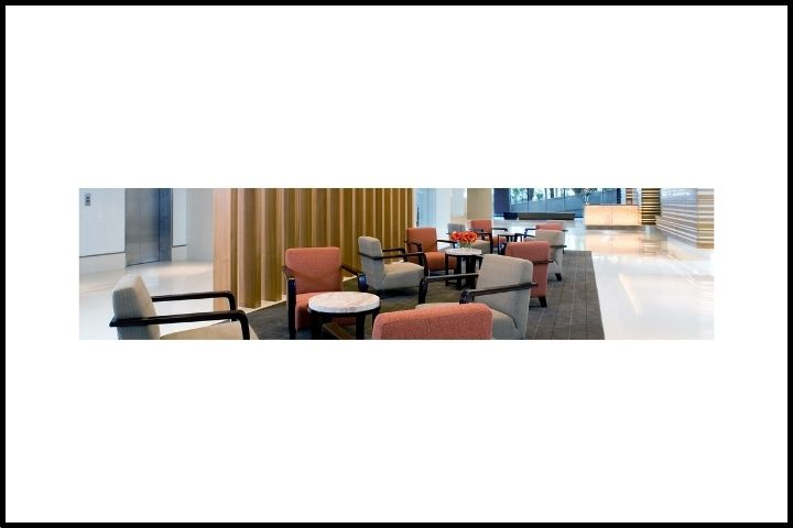 Upholstery Cleaning