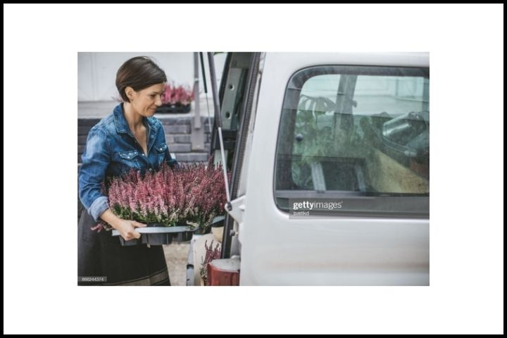 Commercial Auto Insurance