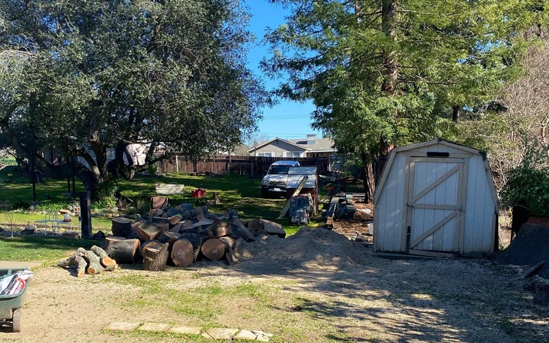 Hazard Tree Mitigation