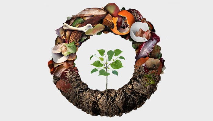 Food Scrap Recycling
